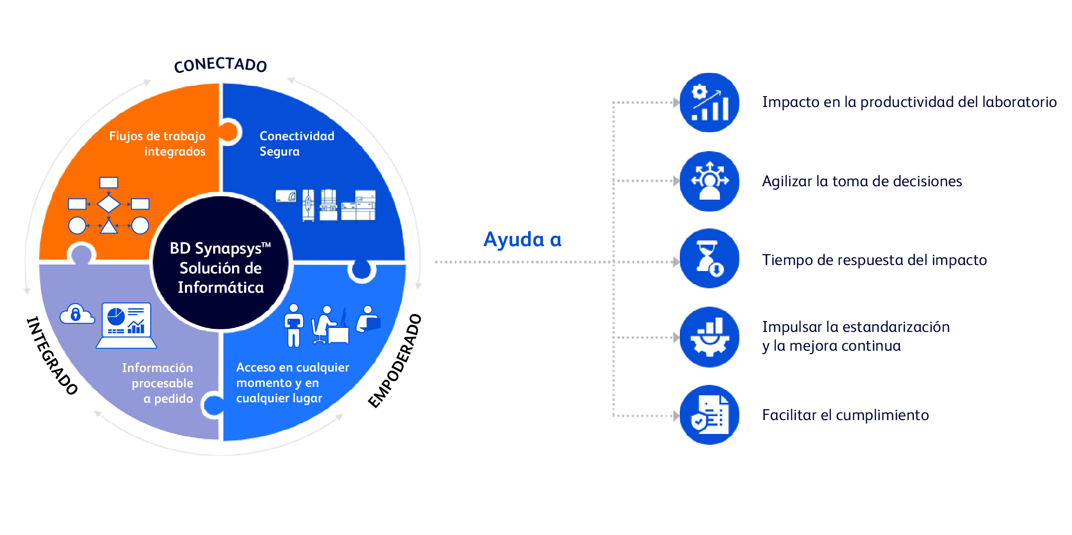 BD Synapsys